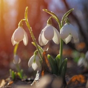 The Certainty of the Unexpected