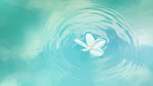 What are Affirmations?