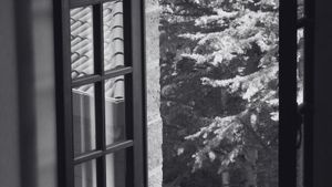 Questions Open Everything