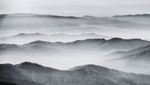 Witness: To Observe Without Controlling