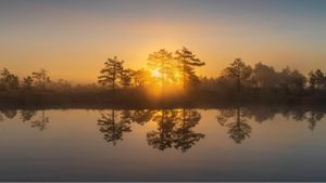 When Presence Becomes the Practice