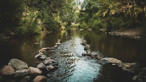 The Responsibility of Truth