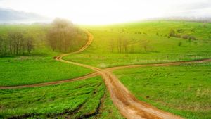 The Up Choice at the Crossroads