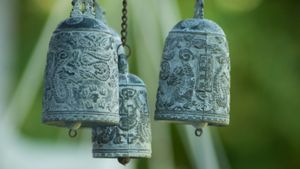 Welcome to Mentorship