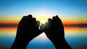 The Witness Community Agreements