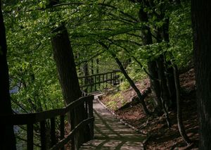 A path into the less-traveled road of the Akashic Records