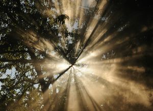 Soul Emergence Dynamics: The Dynamic View of Being and Becoming