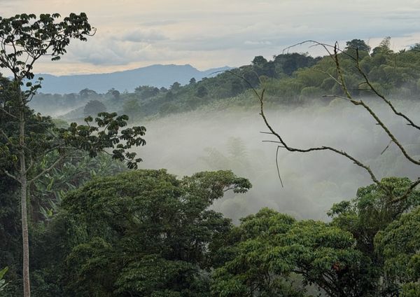 A Vision in Punta Rica