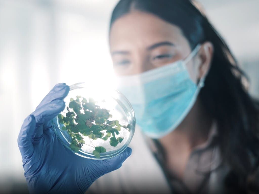 Arkansas Looks to the Future with $8 Million Research Initiative