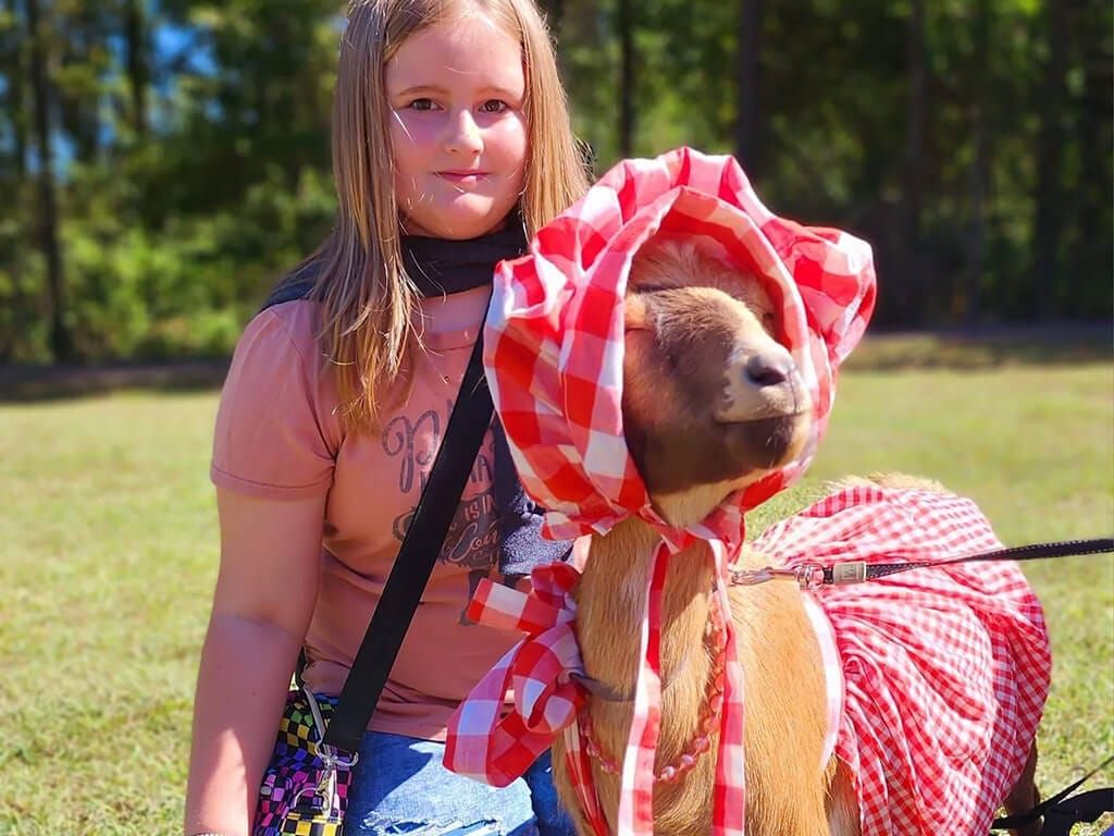 A Celebration of Goats, Now a Tradition on Arkansas’s Tourism Map