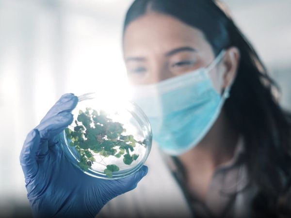 Arkansas Looks to the Future with $8 Million Research Initiative