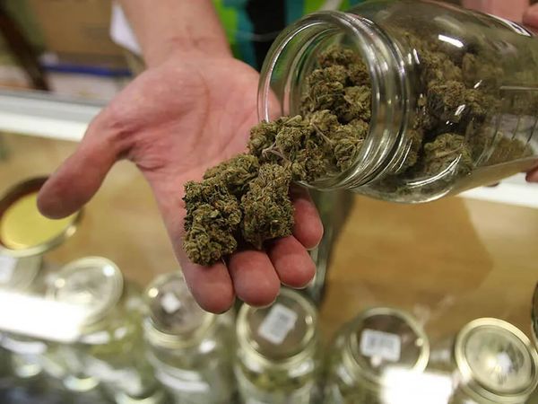 High Numbers: Arkansas’s Medical Marijuana Market Surpasses $193 Million