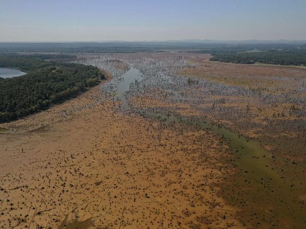 Lake Conway Renovation Progresses as Boat Lanes Take Shape