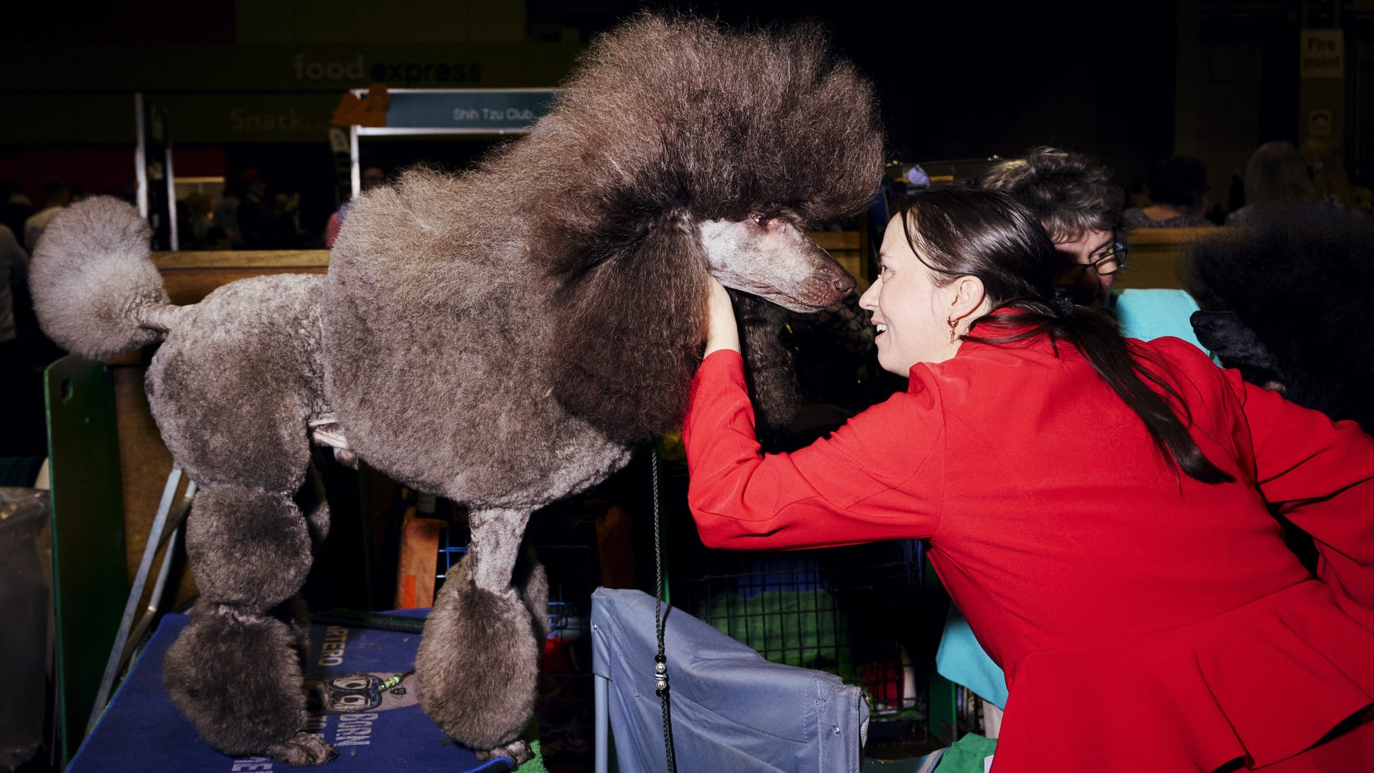 Who's top dog in Birmingham? Our day at the city's weirdest — and cutest — event