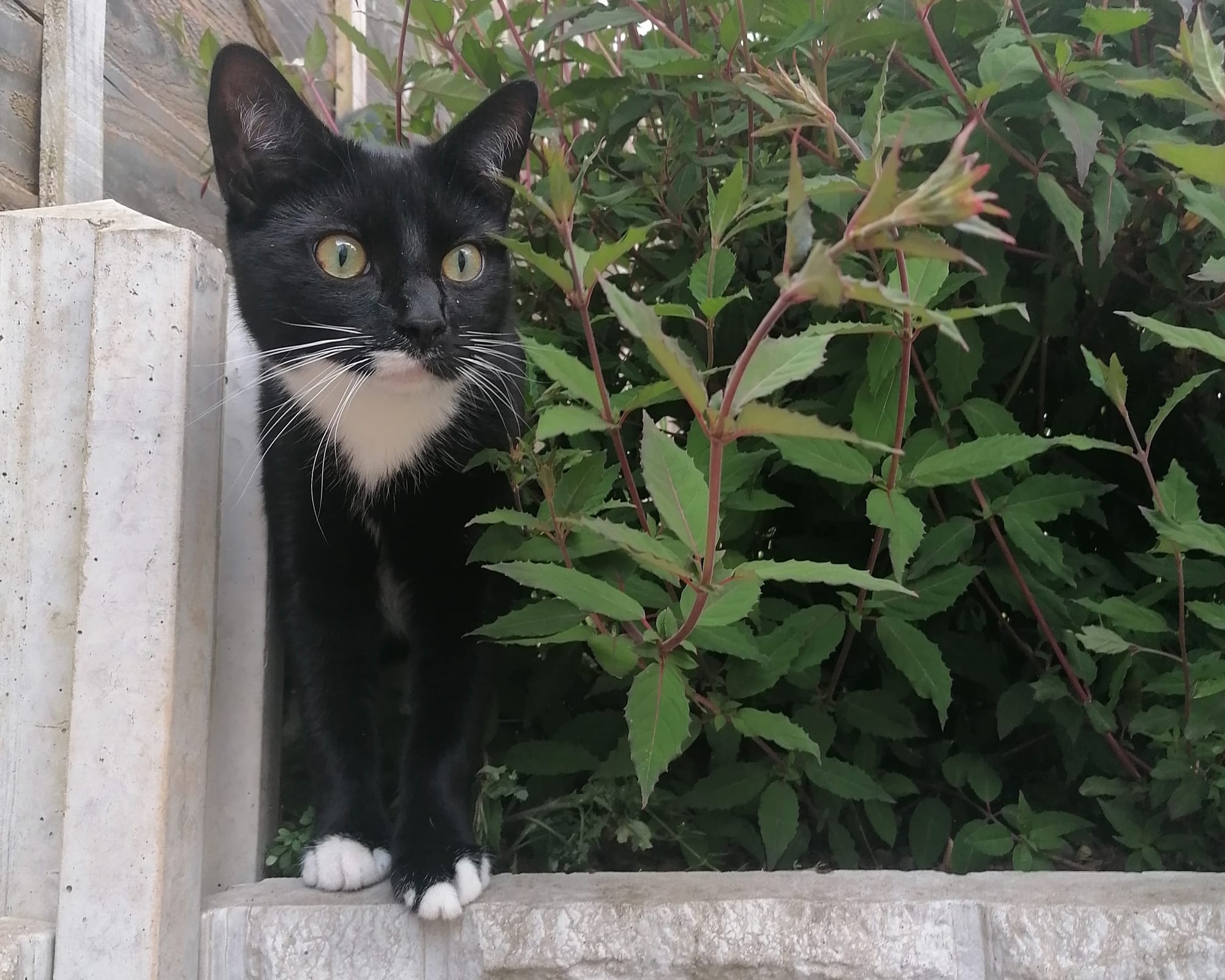 I took a risk. Now it’s starting to pay off.