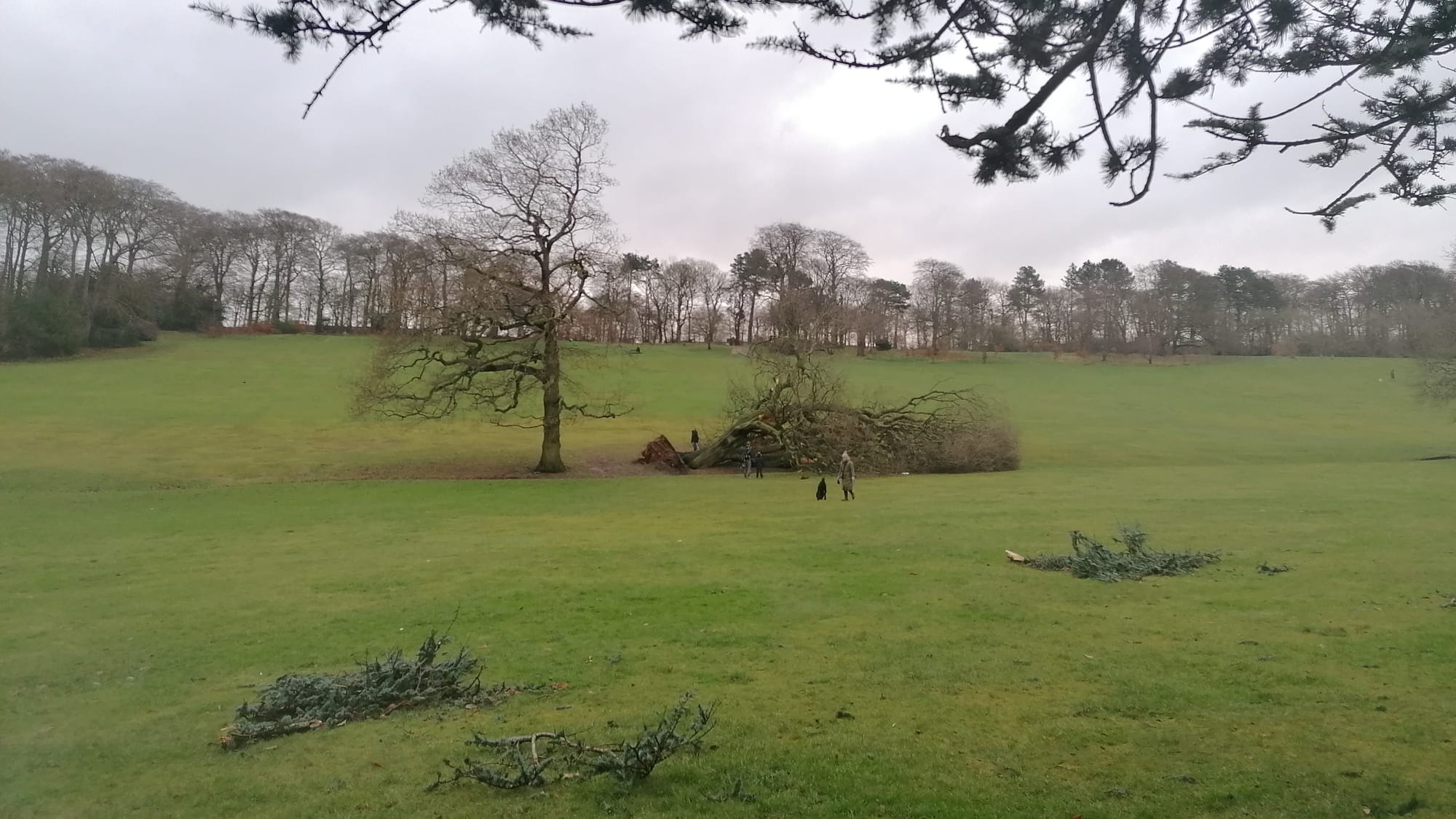 Storm Darragh forges path of destruction