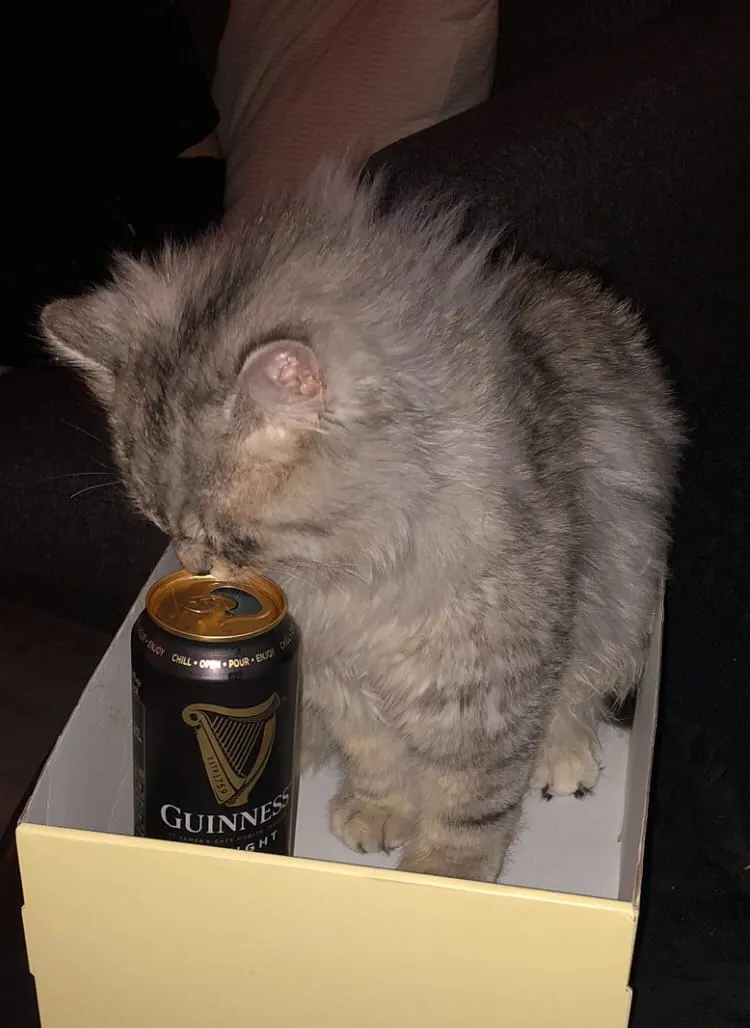 Eight stories a day keep the readers away