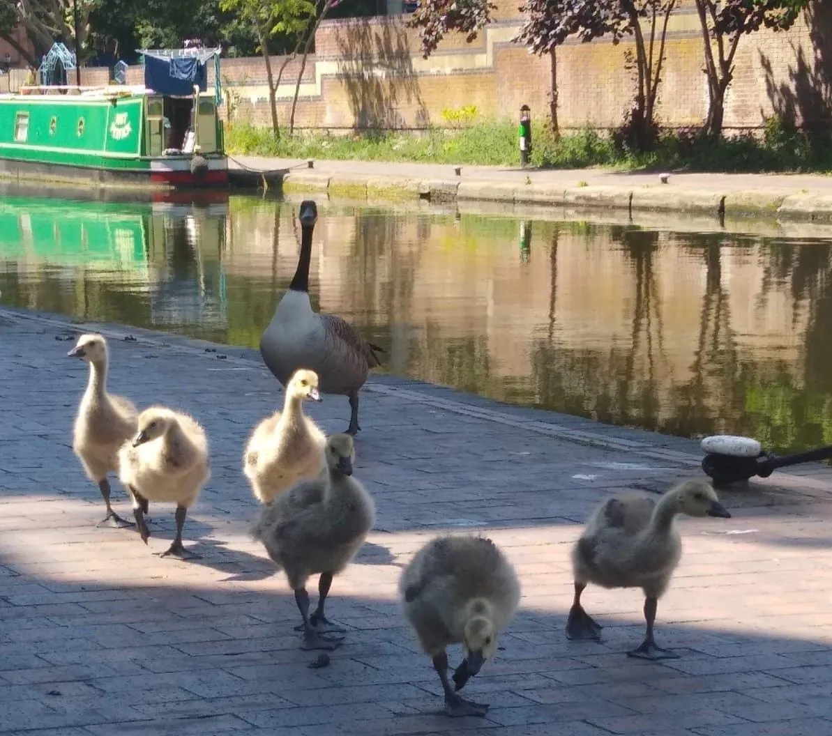 Brace for Storm Ciarán