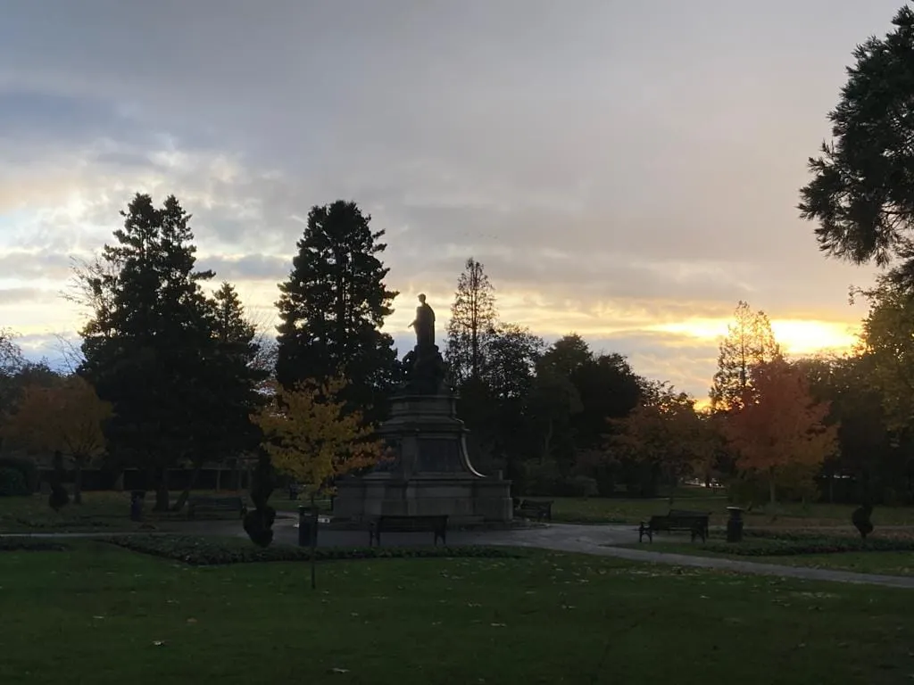 A new home for... alpacas