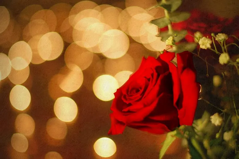 Valentine's Day strike out