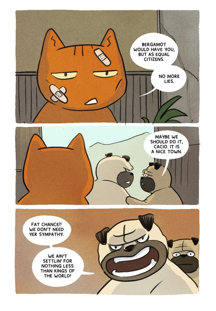 Chapter 3, Part 17