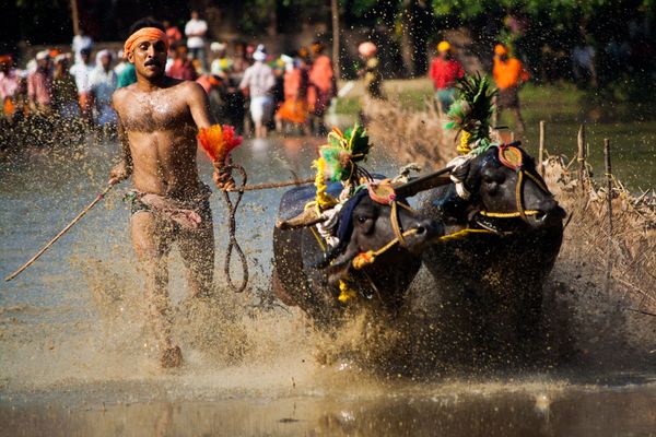 Kadri Kambala