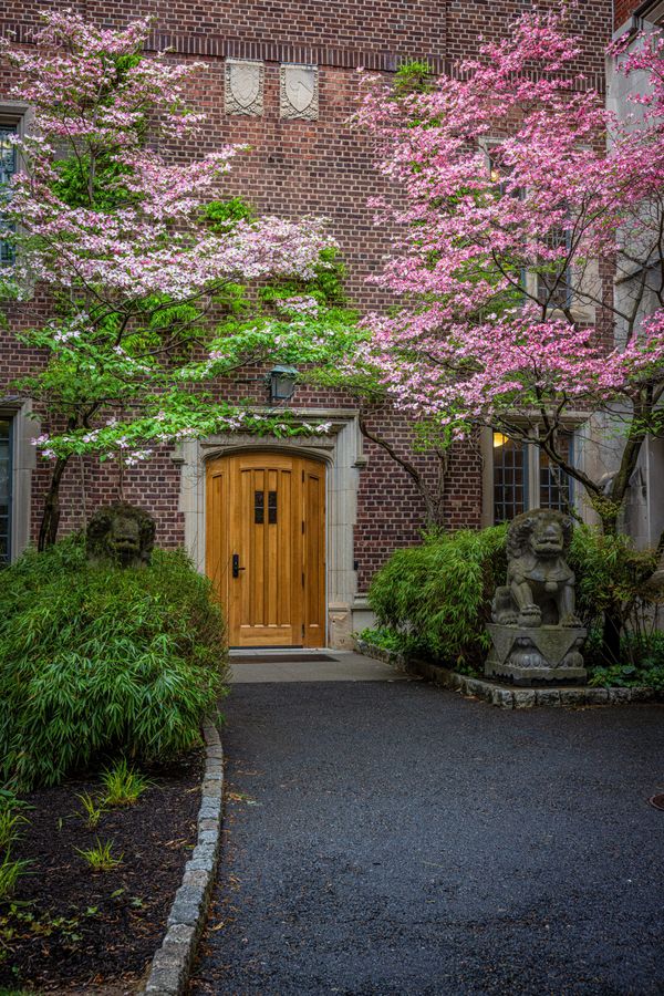 I like them, doors & windows!