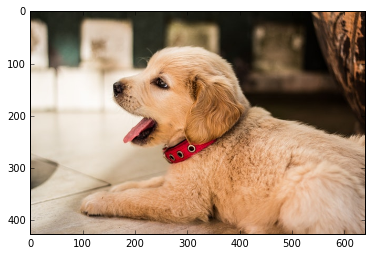 Classification example