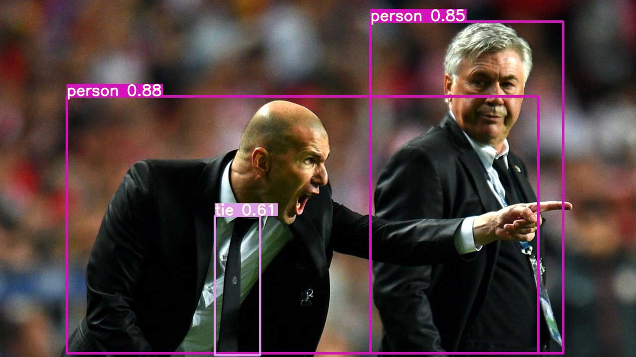 YOLO Object Detection in PyTorch