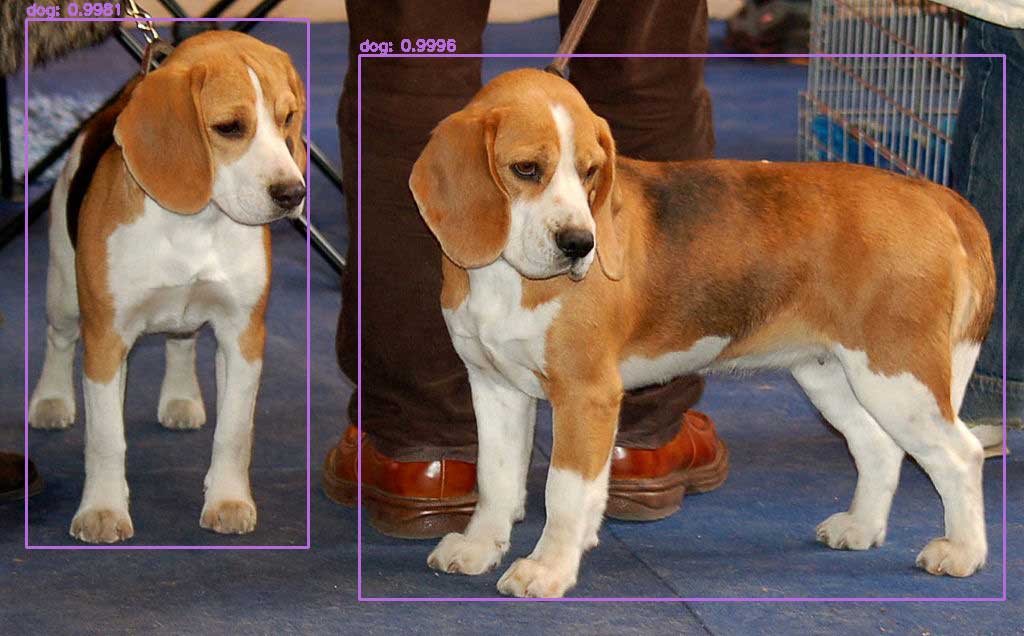 YOLO Object Detection with OpenCV