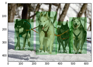 Object Detection Prediction Example