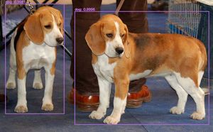 OpenCV Yolo Prediction Example