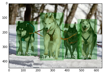 Object Detection Prediction Example