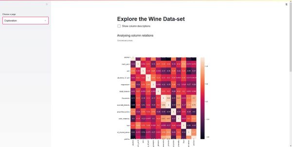 Streamlit Example Application