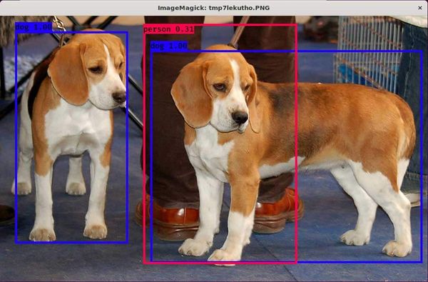 keras-yolo3 Prediction Example
