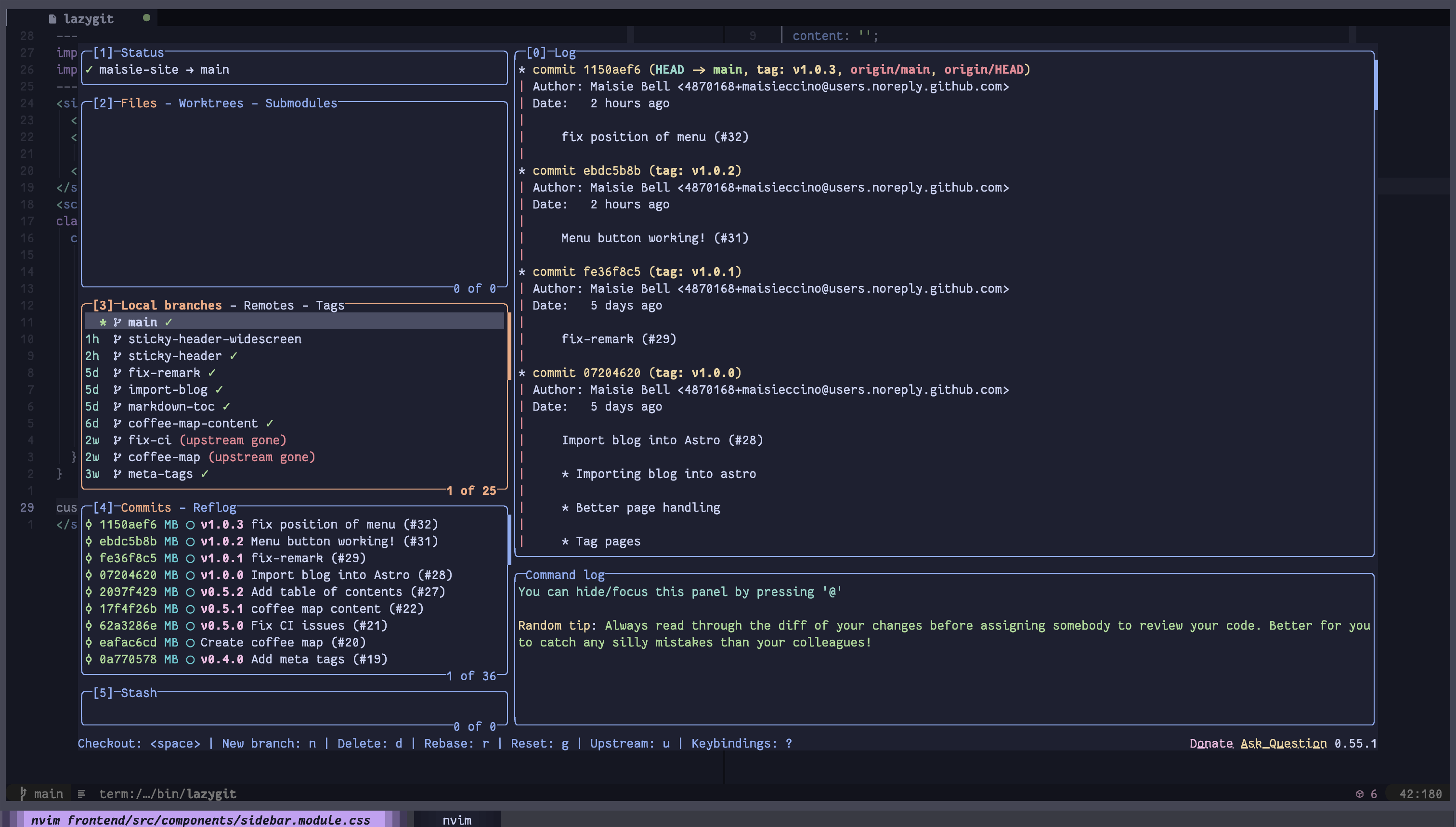 A Neovim window with a "popup" window showing a tool called LazyGit