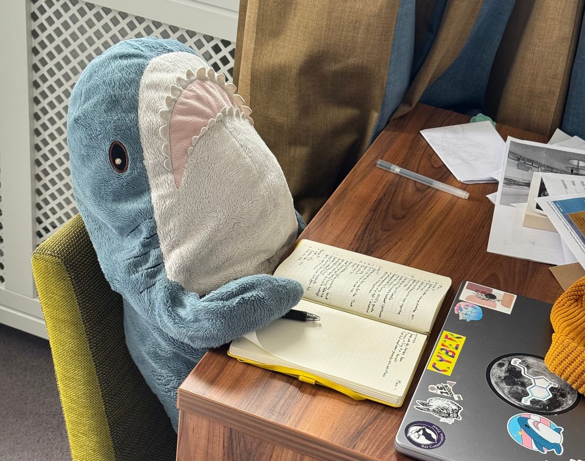 My bullet journal isn't a mental health cure. But...