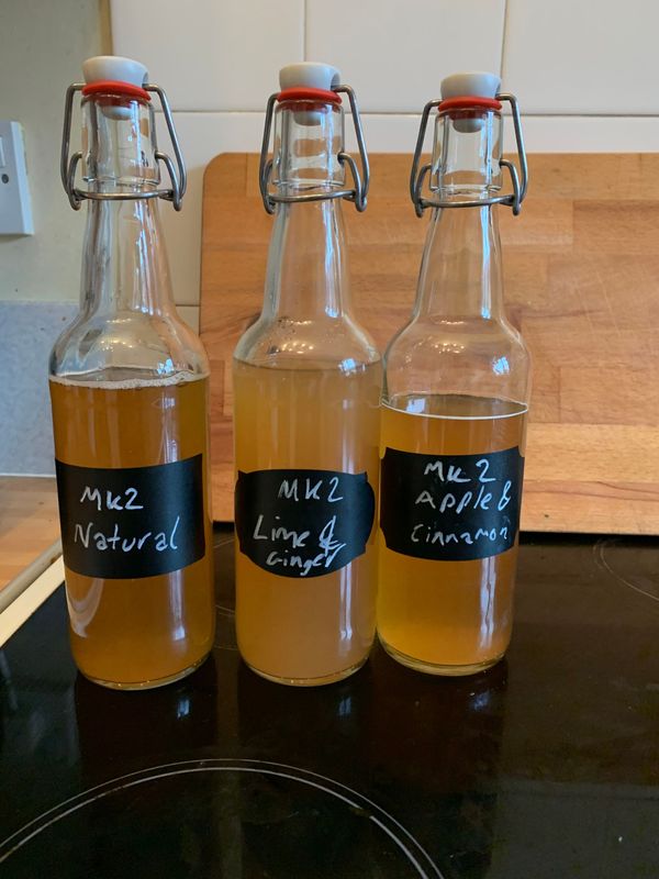 Kombucha Recipe