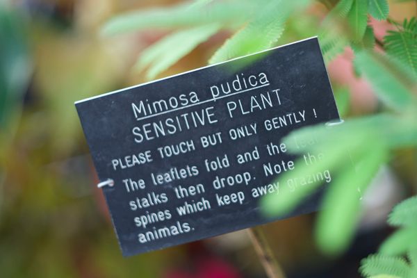 Whoops! Let’s try this again.