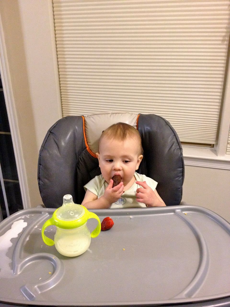 Trying out gingerbread.