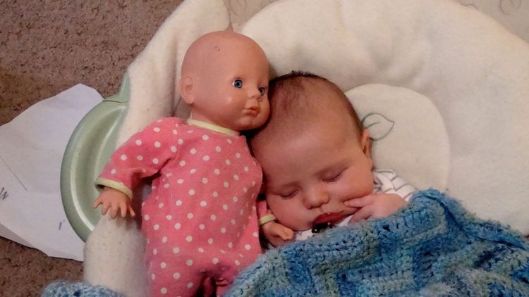 Almost Wordless Wednesday:  Sleepy Time