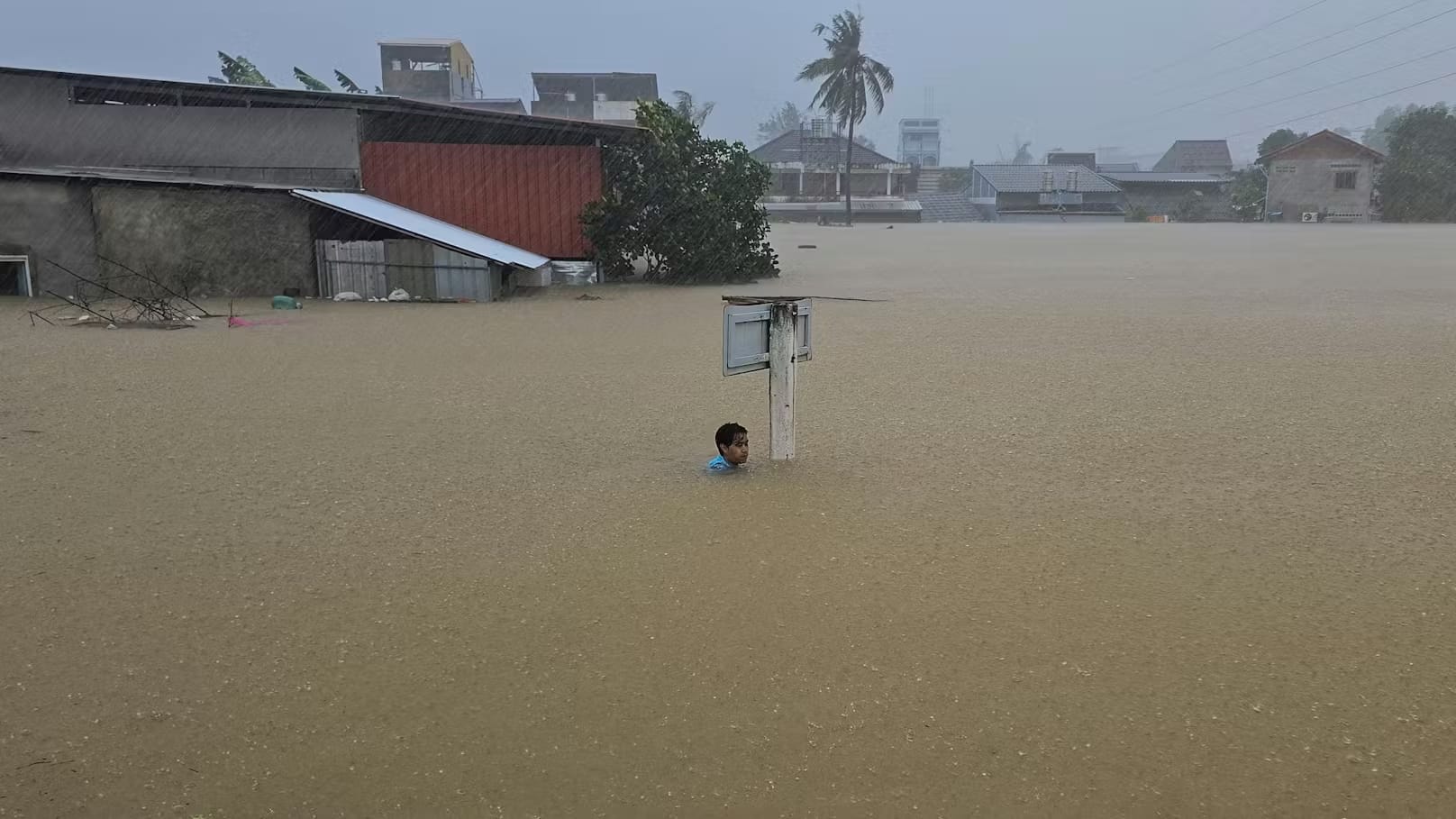 책임의 홍수: 시스템 실패가 남긴 핫야이의 침몰한 진실