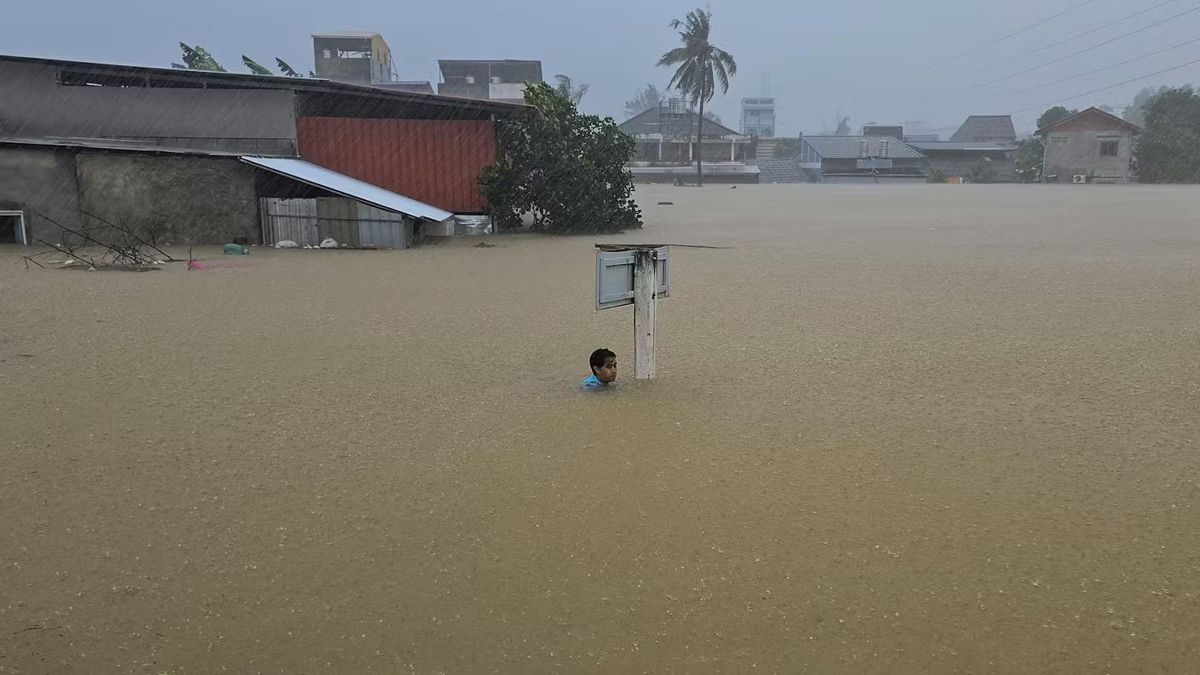 책임의 홍수: 시스템 실패가 남긴 핫야이의 침몰한 진실