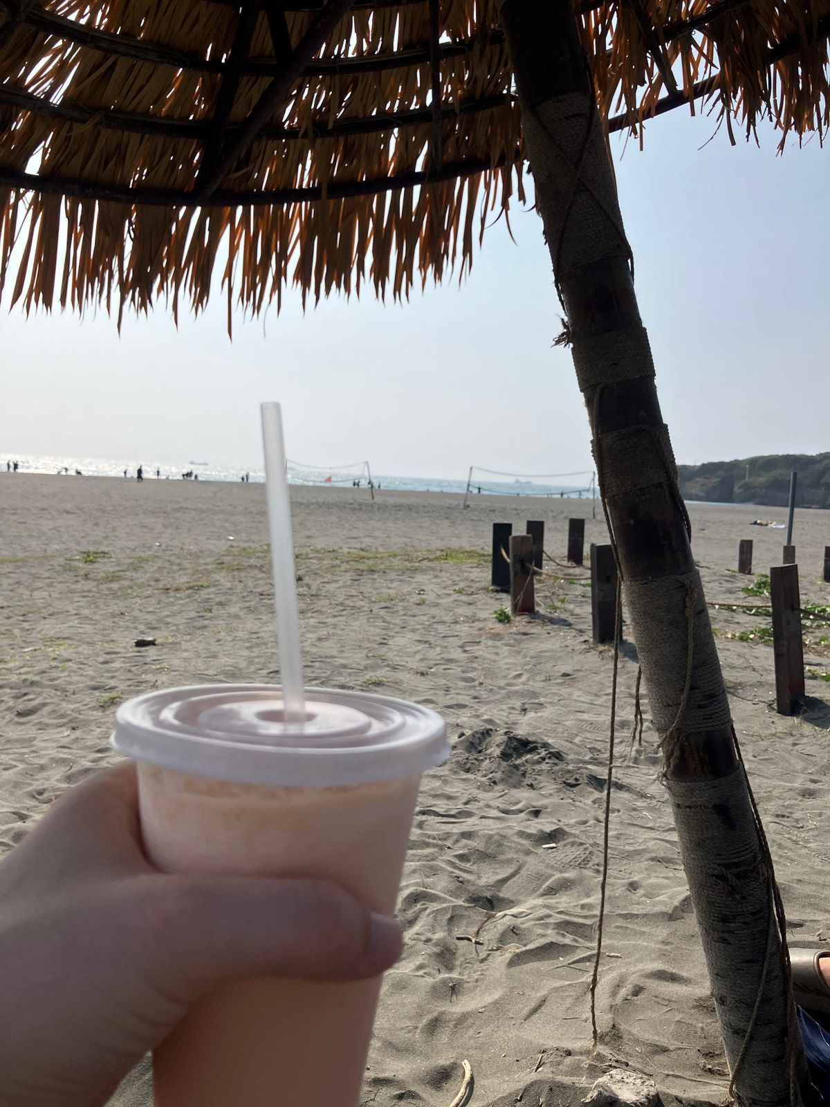 ☀️+⛴️+🏖️&🧋=🧡