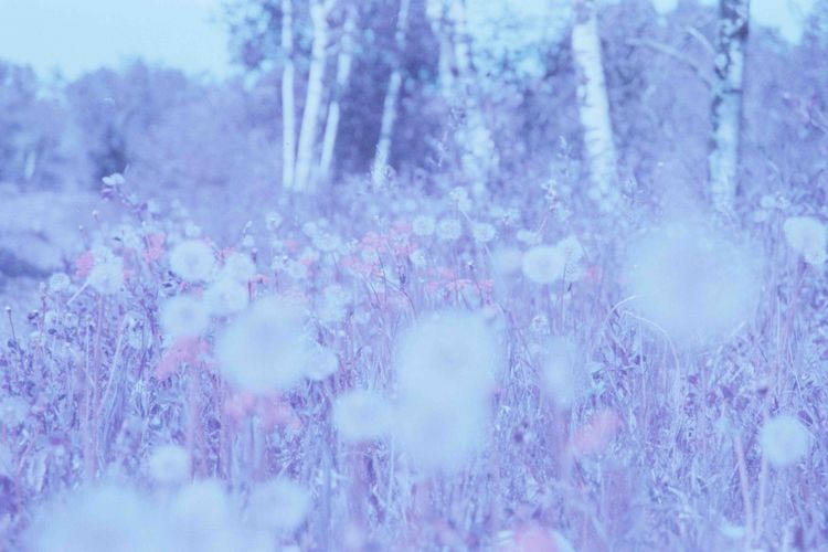 The Sun (a short story)