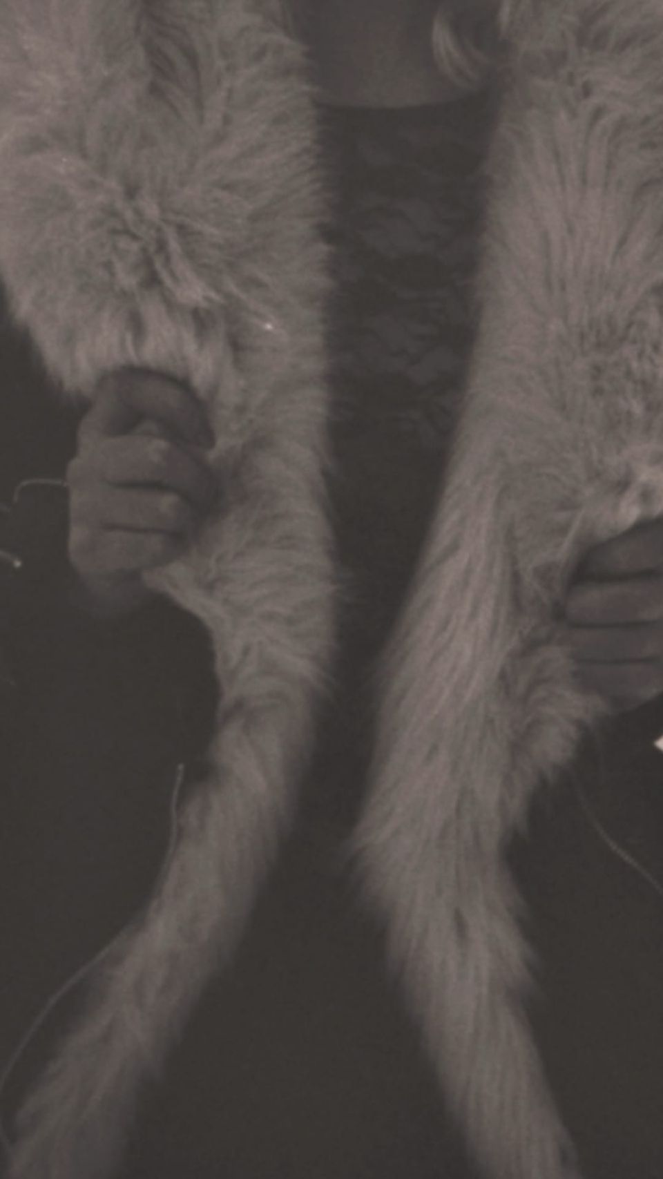 The Fur (and around it)