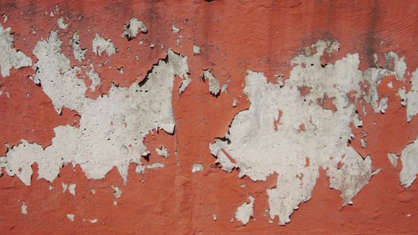 What We're Meant to Misplace