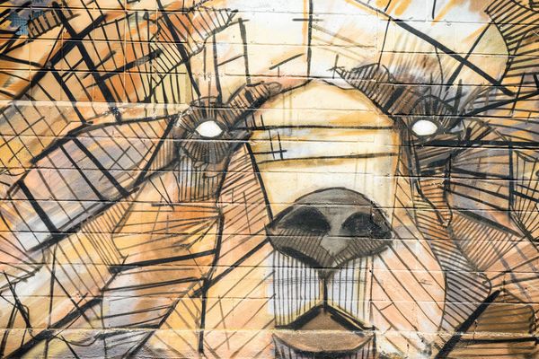 My Dog, The Philosopher: Part 1