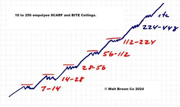 A linear chart demonstrating the need for employee engagement using BITE7 surveys at inflection points of employee counts at 7, 14, 28, 56, 112, 224, etc...