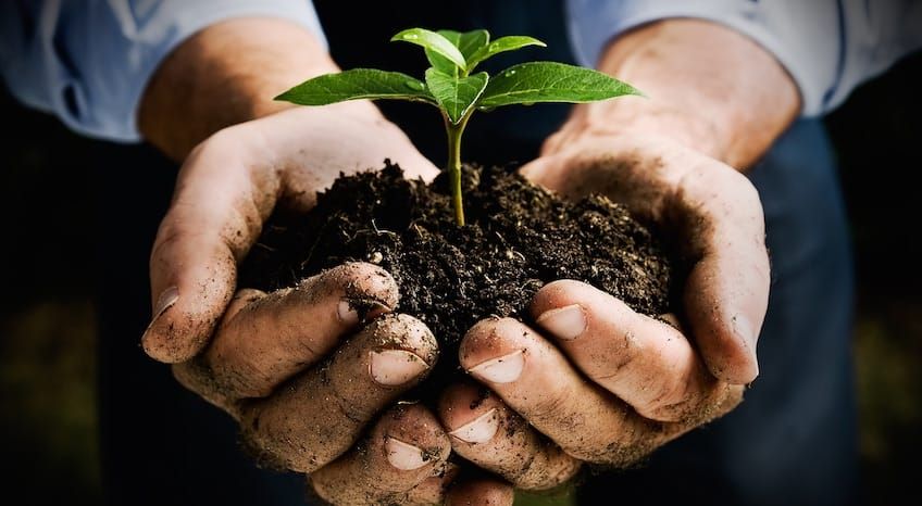 Who Is the 'Experienced' Church-Planter?